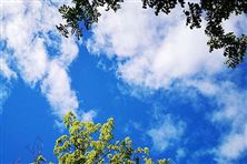 迎“蓝”而上！直击攀枝花、德阳、内江大气攻坚现场